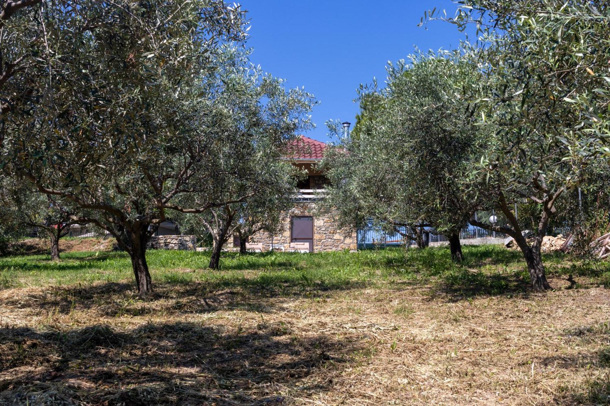 Managraia Villa Makrygialos Exterior photo